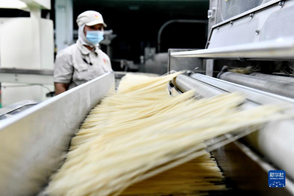 威尼斯现金下载